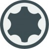 TS-Profil (für Torx Plus)
