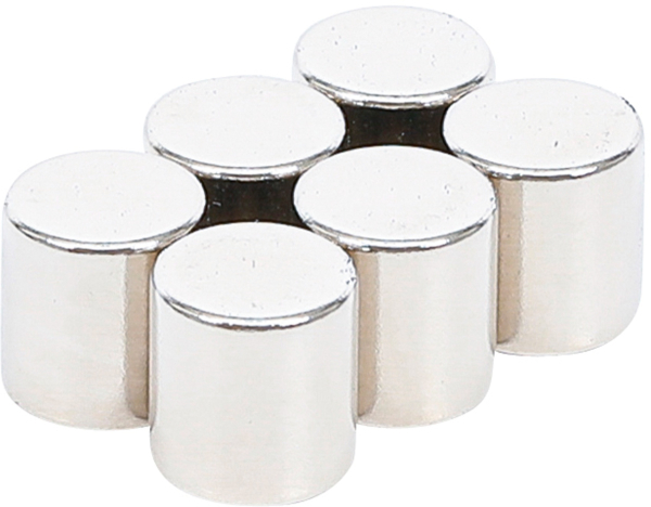 Magnet-Satz | extra stark | Ø 9.5 mm | 6-tlg. BGS 79919